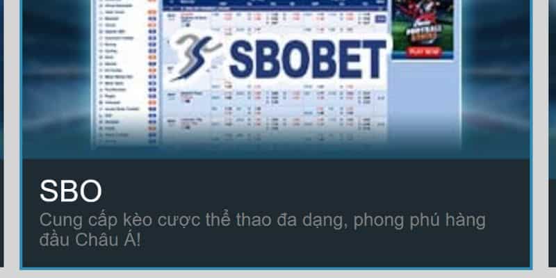 Người chơi WW88 không còn xa lạ với sảnh cược thể thao chất lượng